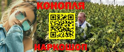 стаф Ливны