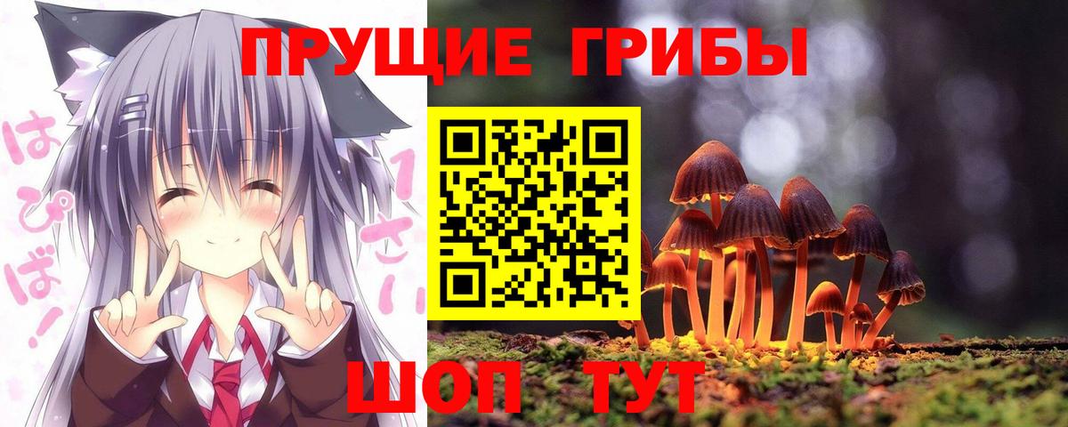 Калуга  Галлюциногенные грибы Psilocybe  Вход с VPN  Псилоцибиновые грибы мицелий 